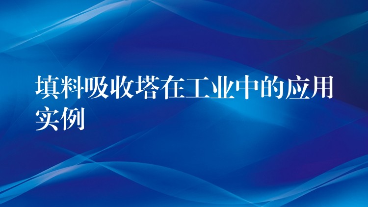 填料吸收塔在工业中的应用实例