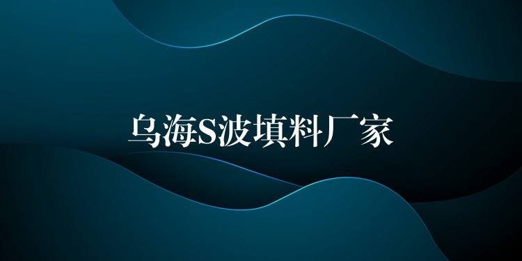 乌海S波填料厂家