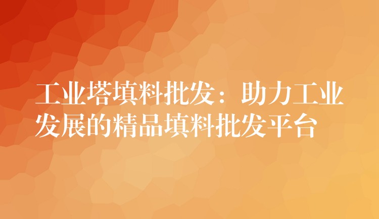工业塔填料批发：助力工业发展的精品填料批发平台