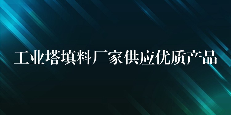 工业塔填料厂家供应优质产品