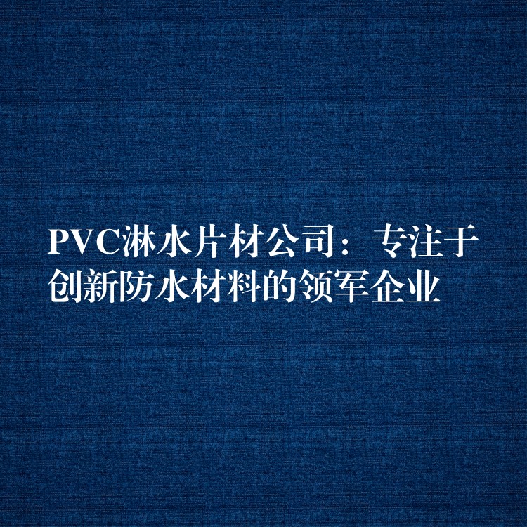 PVC淋水片材公司：专注于创新防水材料的领军企业