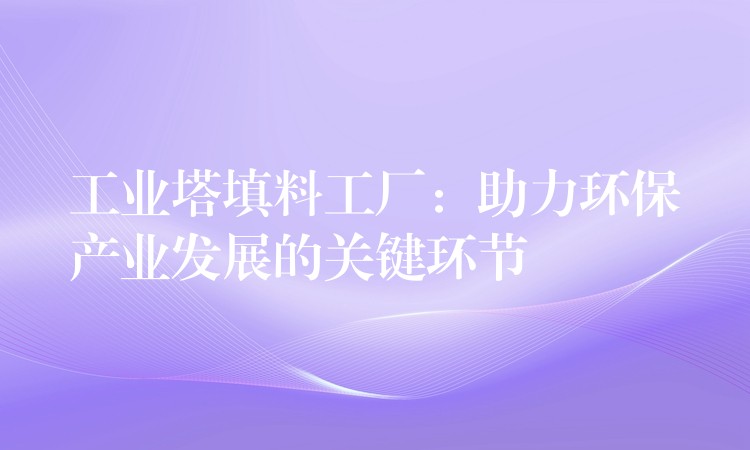工业塔填料工厂：助力环保产业发展的关键环节