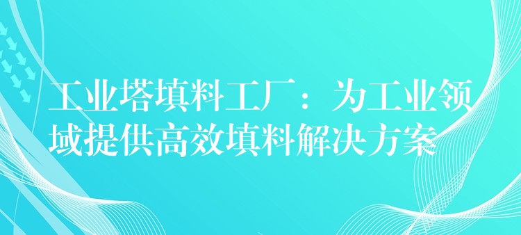 工业塔填料工厂：为工业领域提供高效填料解决方案