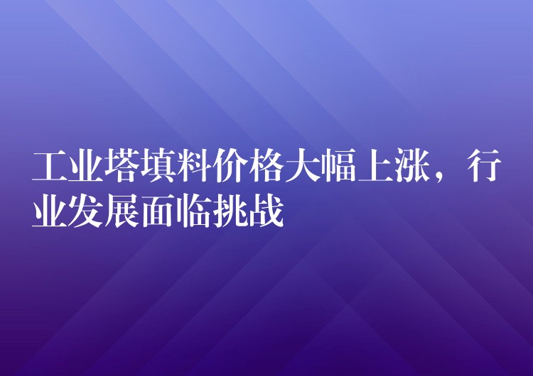 工业塔填料价格大幅上涨，行业发展面临挑战