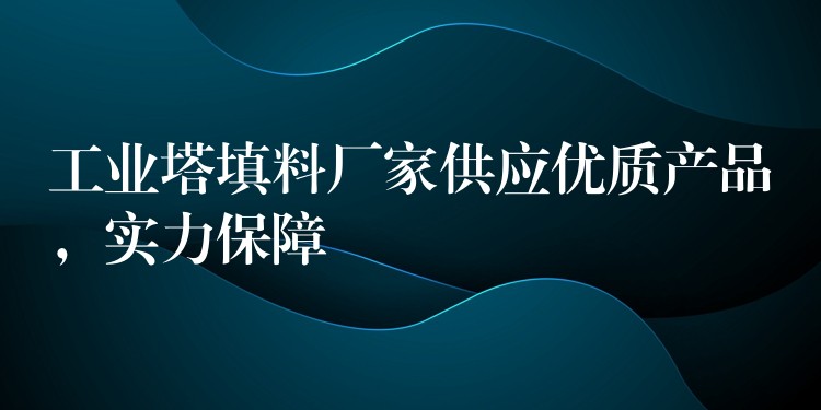 工业塔填料厂家供应优质产品，实力保障