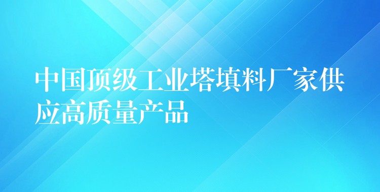中国顶级工业塔填料厂家供应高质量产品