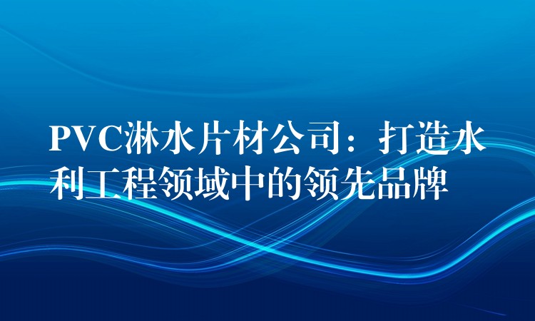PVC淋水片材公司：打造水利工程领域中的领先品牌