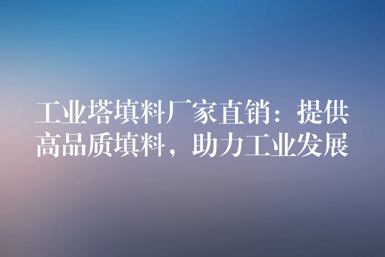 工业塔填料厂家直销：提供高品质填料，助力工业发展