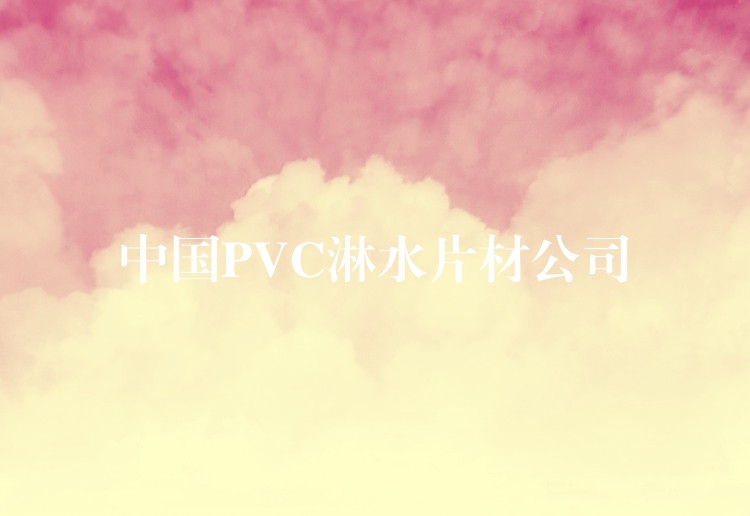 中国PVC淋水片材公司