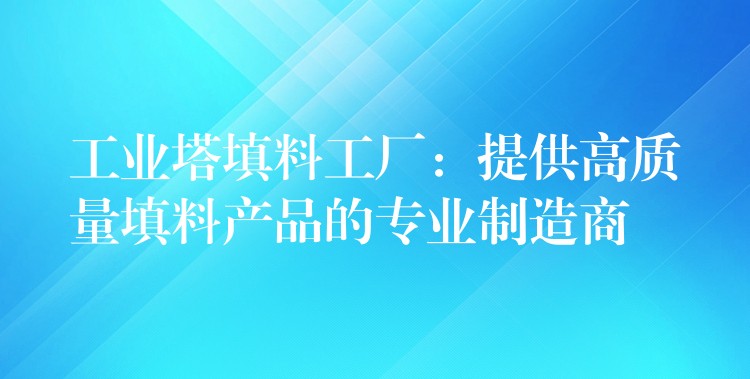 工业塔填料工厂：提供高质量填料产品的专业制造商