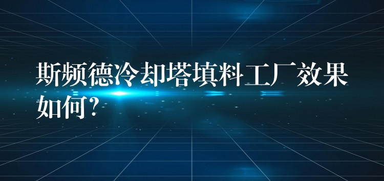 斯频德冷却塔填料工厂效果如何？