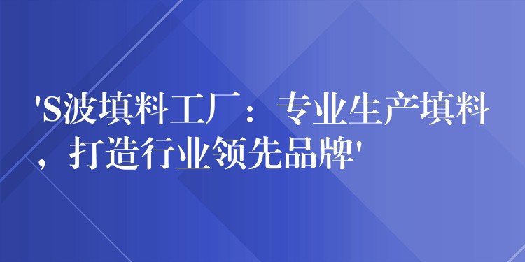 ‘S波填料工厂：专业生产填料，打造行业领先品牌’