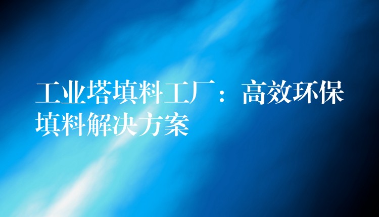 工业塔填料工厂：高效环保填料解决方案
