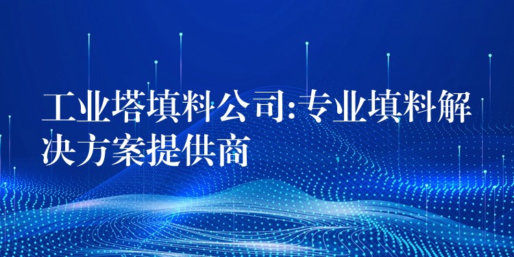 工业塔填料公司:专业填料解决方案提供商