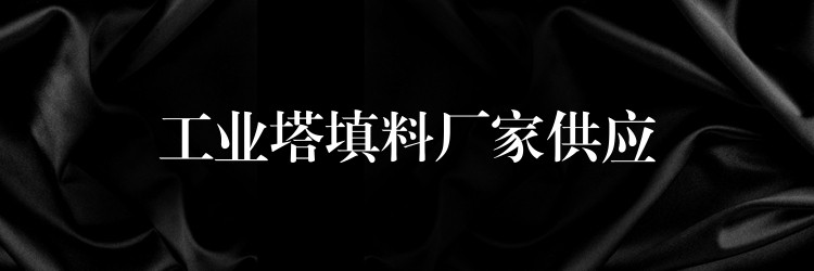 工业塔填料厂家供应